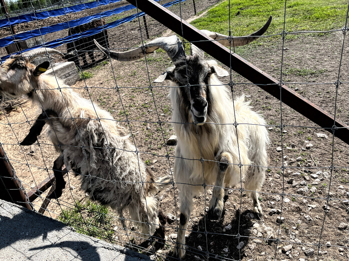 Источник фото: пресс-служба правительства Нижегородской области
