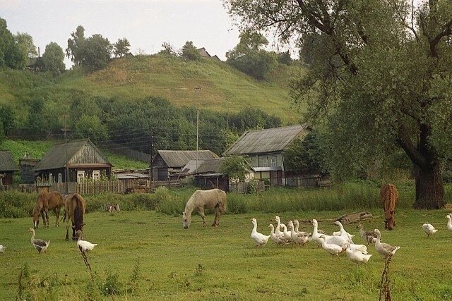 Фото из интернета в свободном доступе.