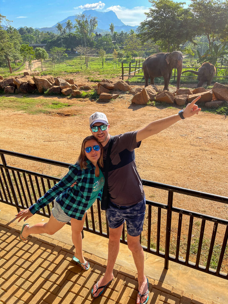 Фото автора. Приют слонов