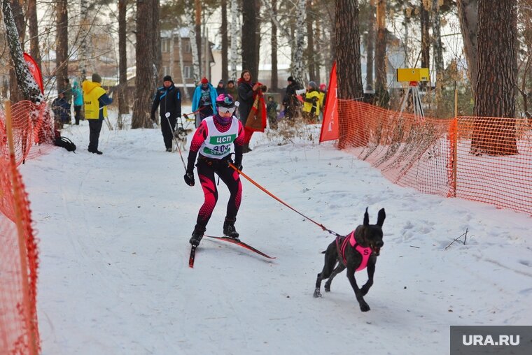    Ездовой спорт стал официальной дисциплиной в конце 2020 года