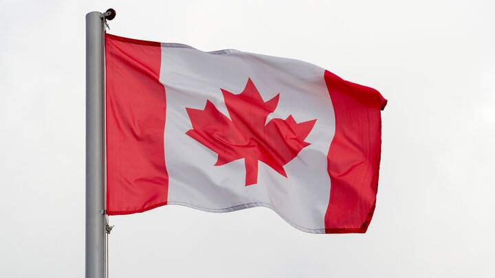 ФОТО: ILYA GALAKHOV/GLOBALLOOKPRESS