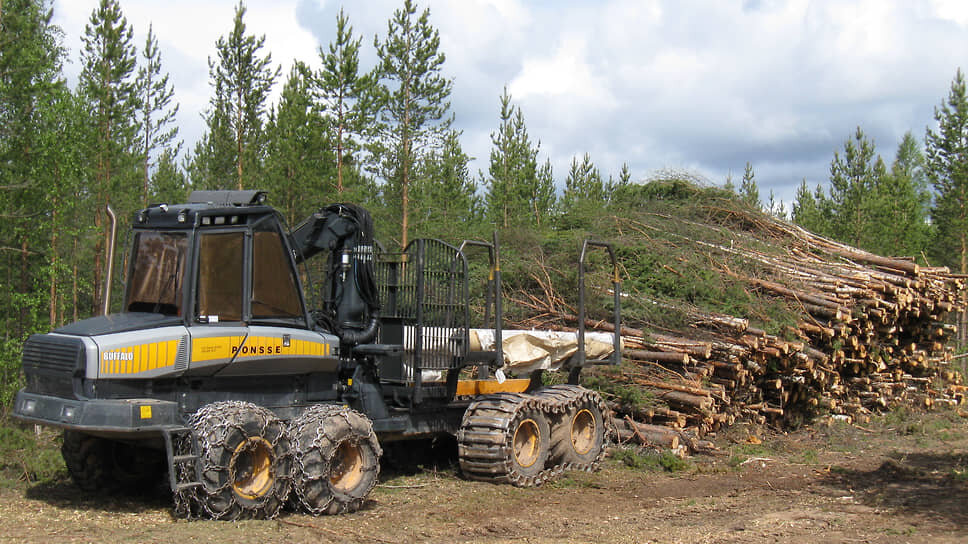    Фото: SeppVei / Wikipedia