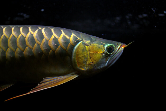 Фото из открытого источника.