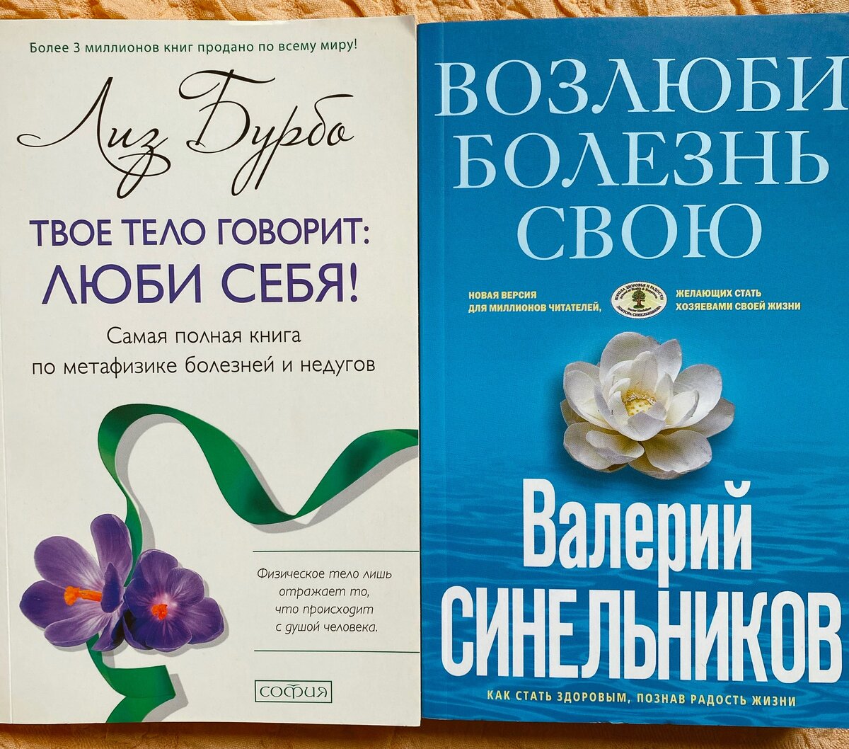 (вот эти 2 книги)