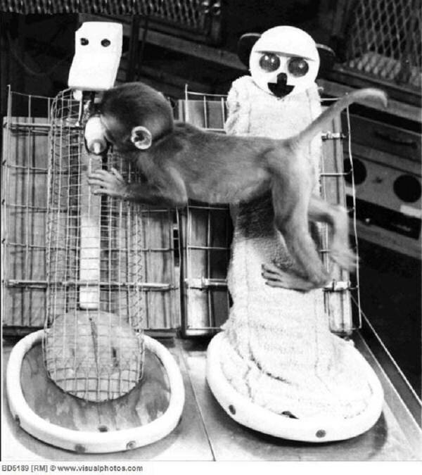 Мама из проволоки и мама из мягкой ткани