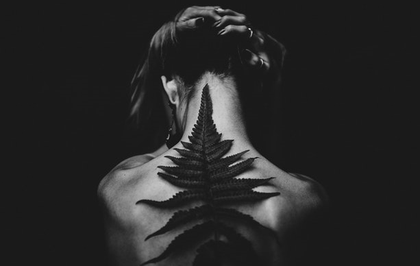 Фото автора Matheus Bertelli: Pexels