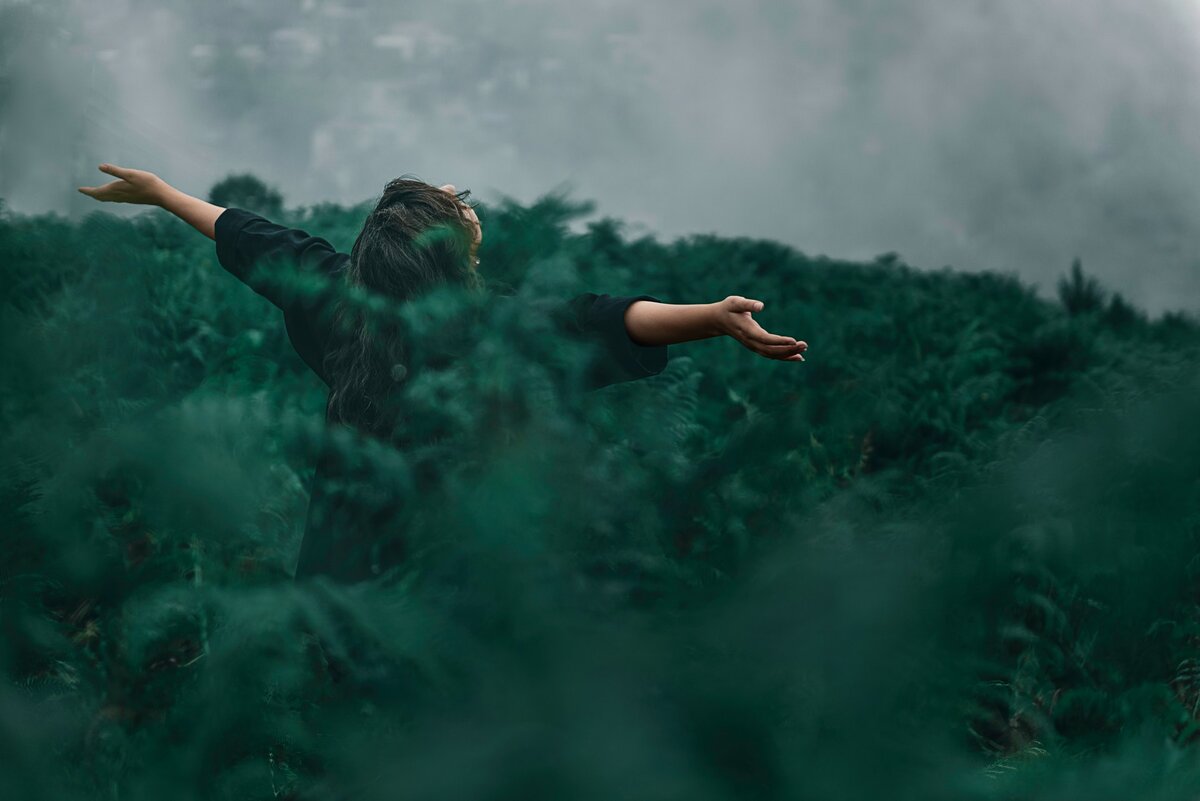 Фото автора Kourosh Qaffari: Pexels