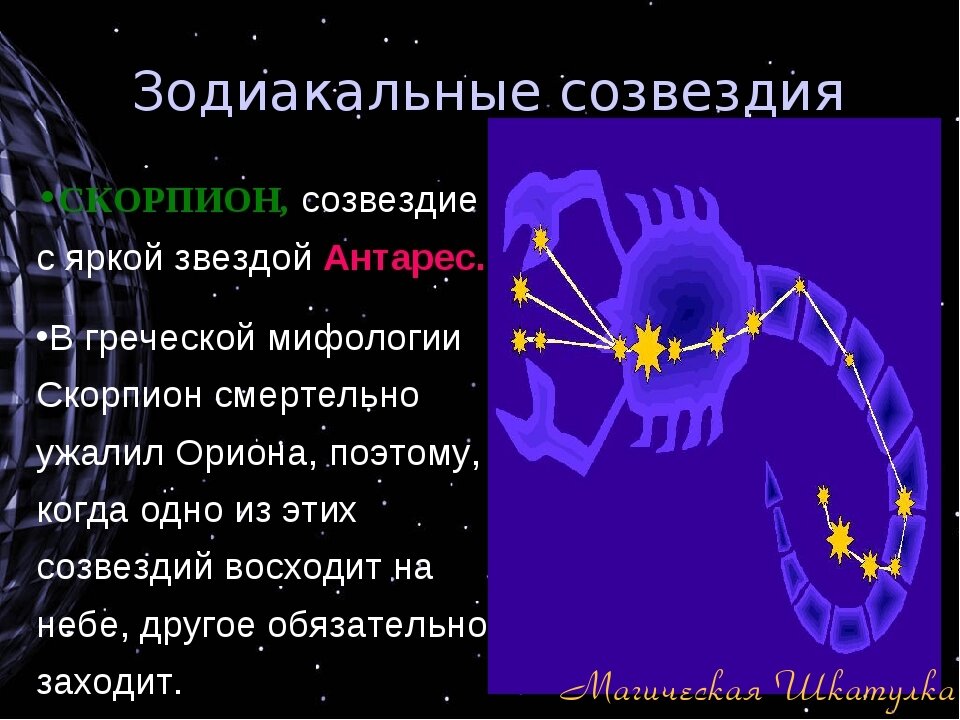 Знак зодиака скорпион презентации