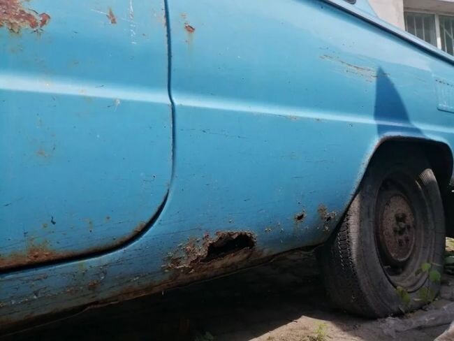 фото pikabu/@rodd