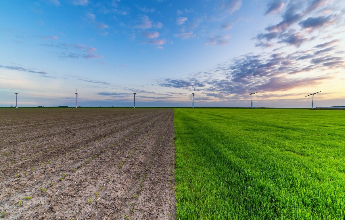 Источник: https://www.goodfon.ru/wallpaper/pole-vetryaki-nebo-844.html