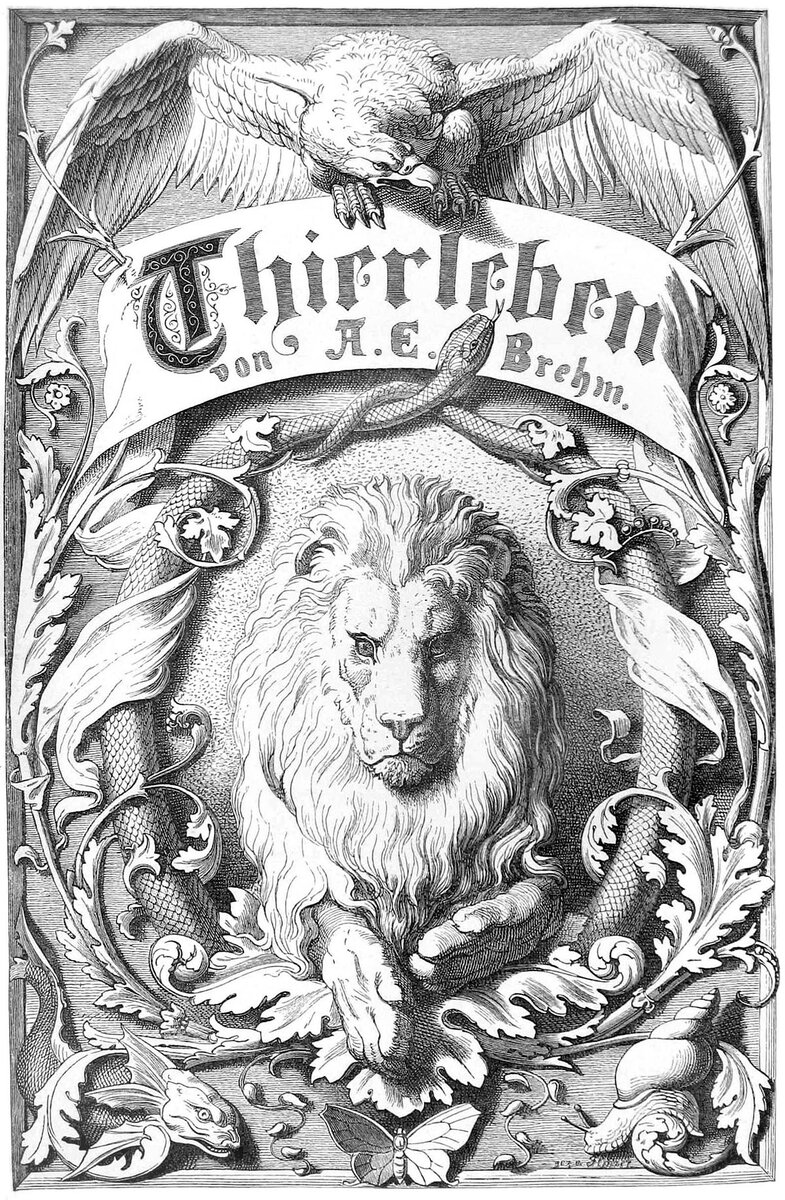 Альфред Брем "Жизнь животных" на немецком языке. Фото: https://fr.m.wikipedia.org/ 