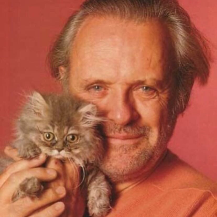 фото использовано в качестве иллюстрации. Источник "Яндекс.Картинки