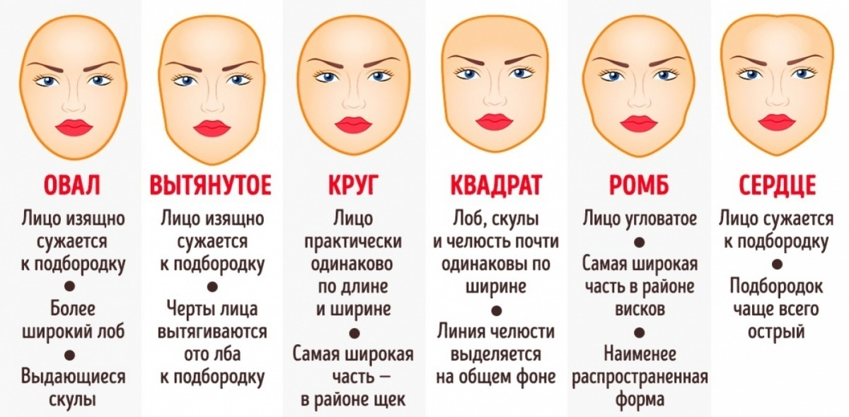 infourok.ru