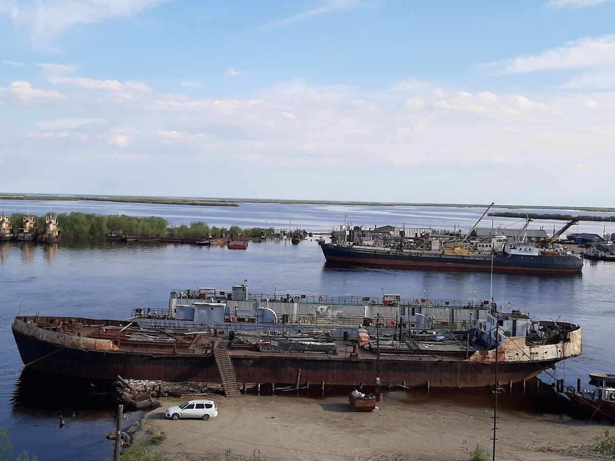 БЕЛЫЕ МЕДВЕДИ У НАС ТОЖЕ ВЕЗДЕ. ЕСЛИ ПРИСМОТРЕТЬСЯ, МОЖНО УВИДЕТЬ "ХОЗЯИНА АРКТИКИ"  (фото Елена Сафонова)