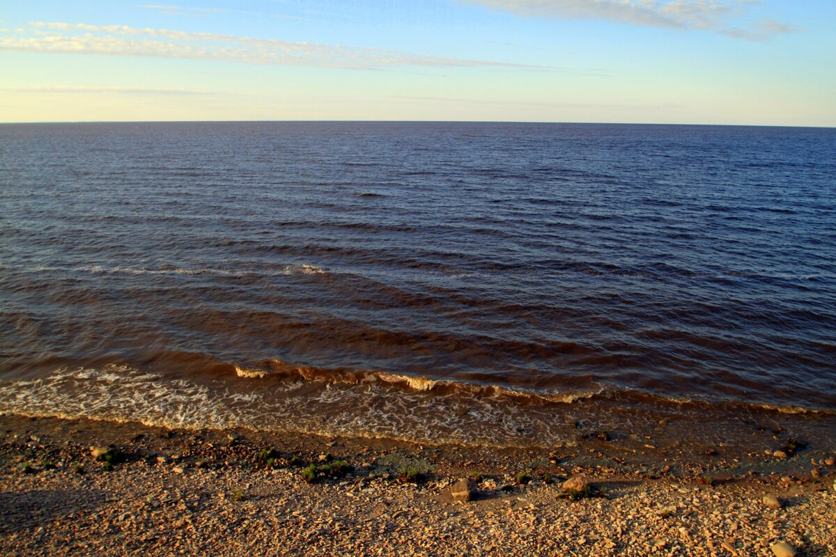 Новгородской море