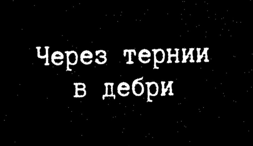 Картинка из сообщества ВК 