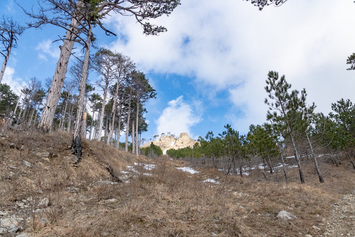 1. Второе пересечение Стильской тропы с прямой просекой газопровода. Впереди видна скала Кучук-Капоблу, расположенная чуть ниже "верхнего перекрёстка". Напомню, что "кучук" в переводе означает "малый", а "биюк" - "большой".