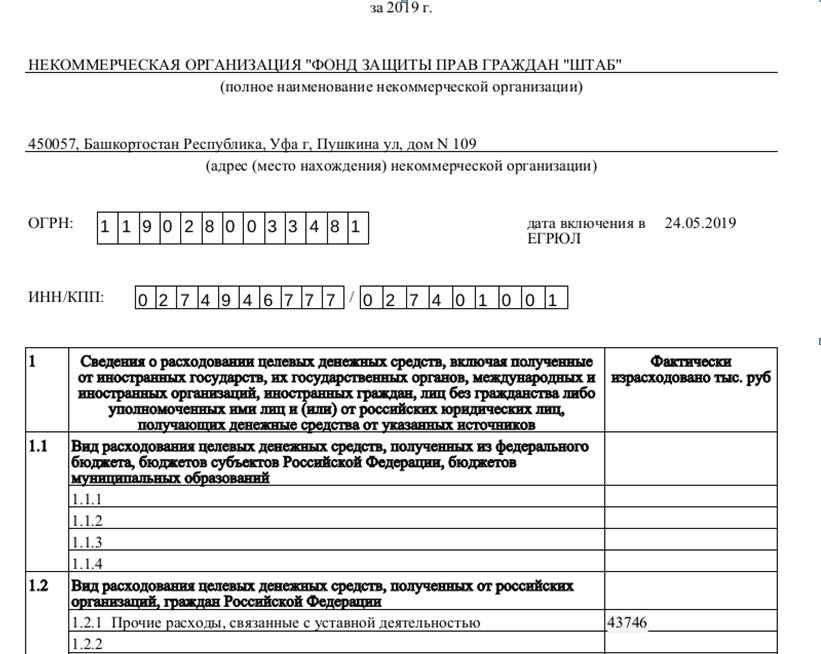 Примеры нко в россии