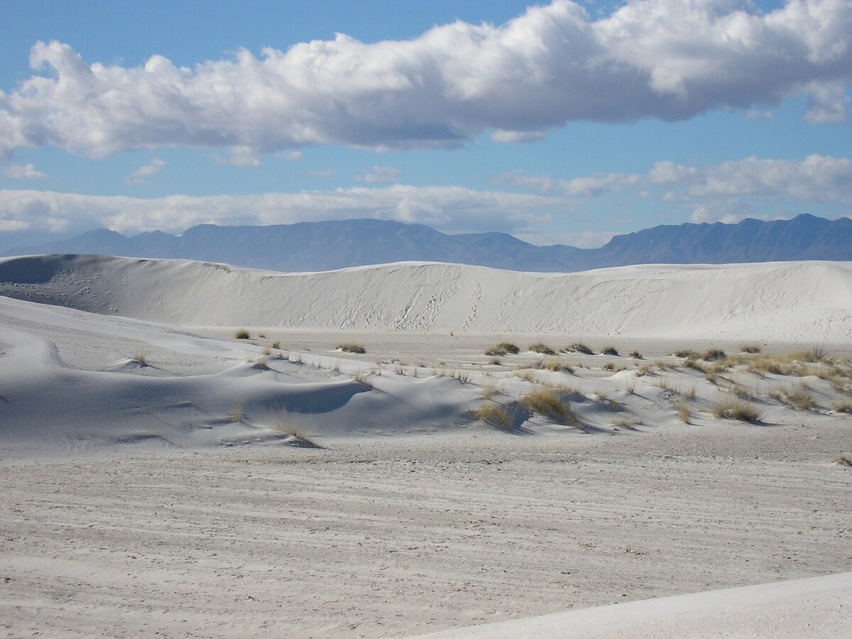 Image by Beverly Mixon from Pixabay 