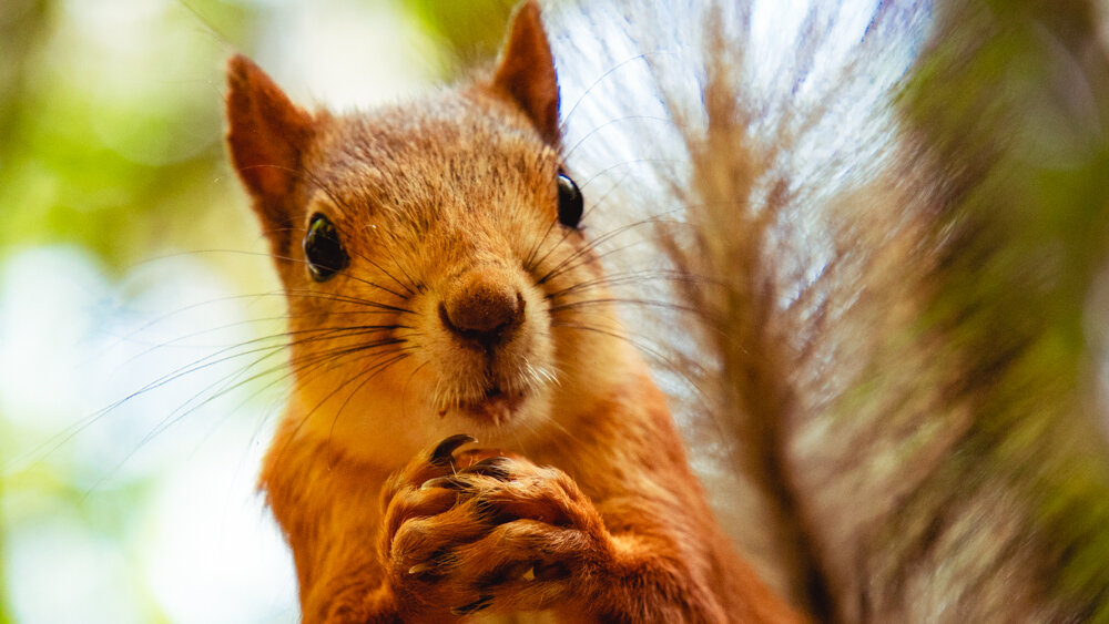 Кадр из видео