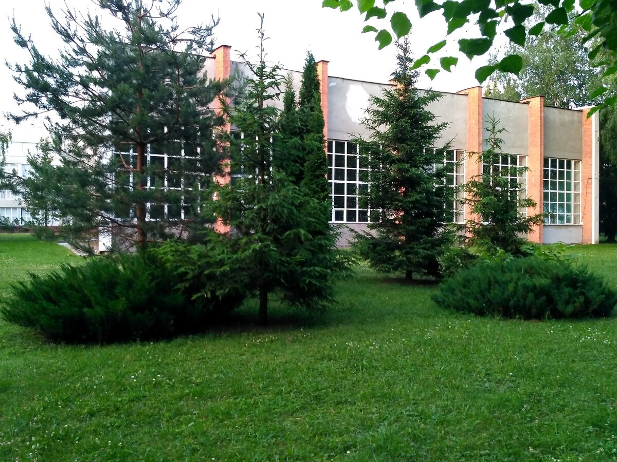 Любимая композиция.