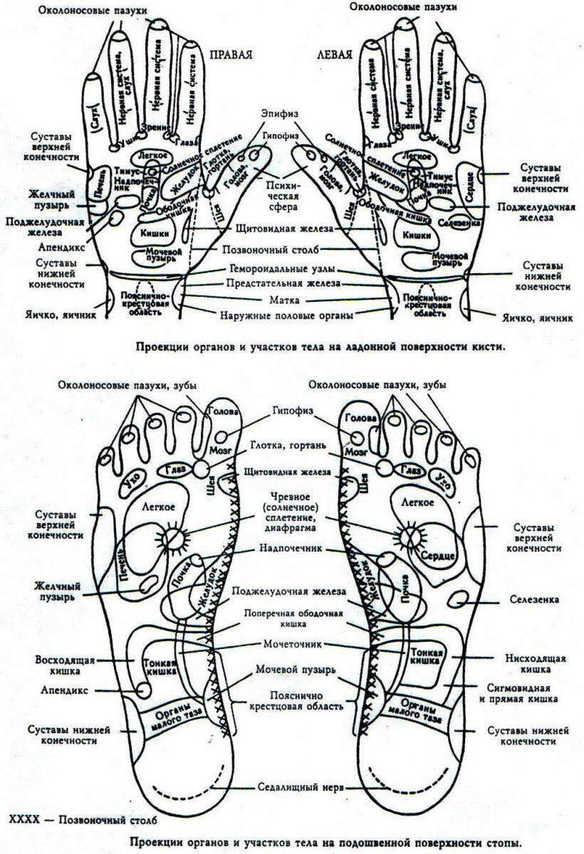 Схема точек на руках. Акупунктурные точки на стопах ноги человека. Акупунктурные точки стопы схема расположения. Точки на подошве стопы отвечающие за органы. Схема ступней ног акупунктурные точки на.
