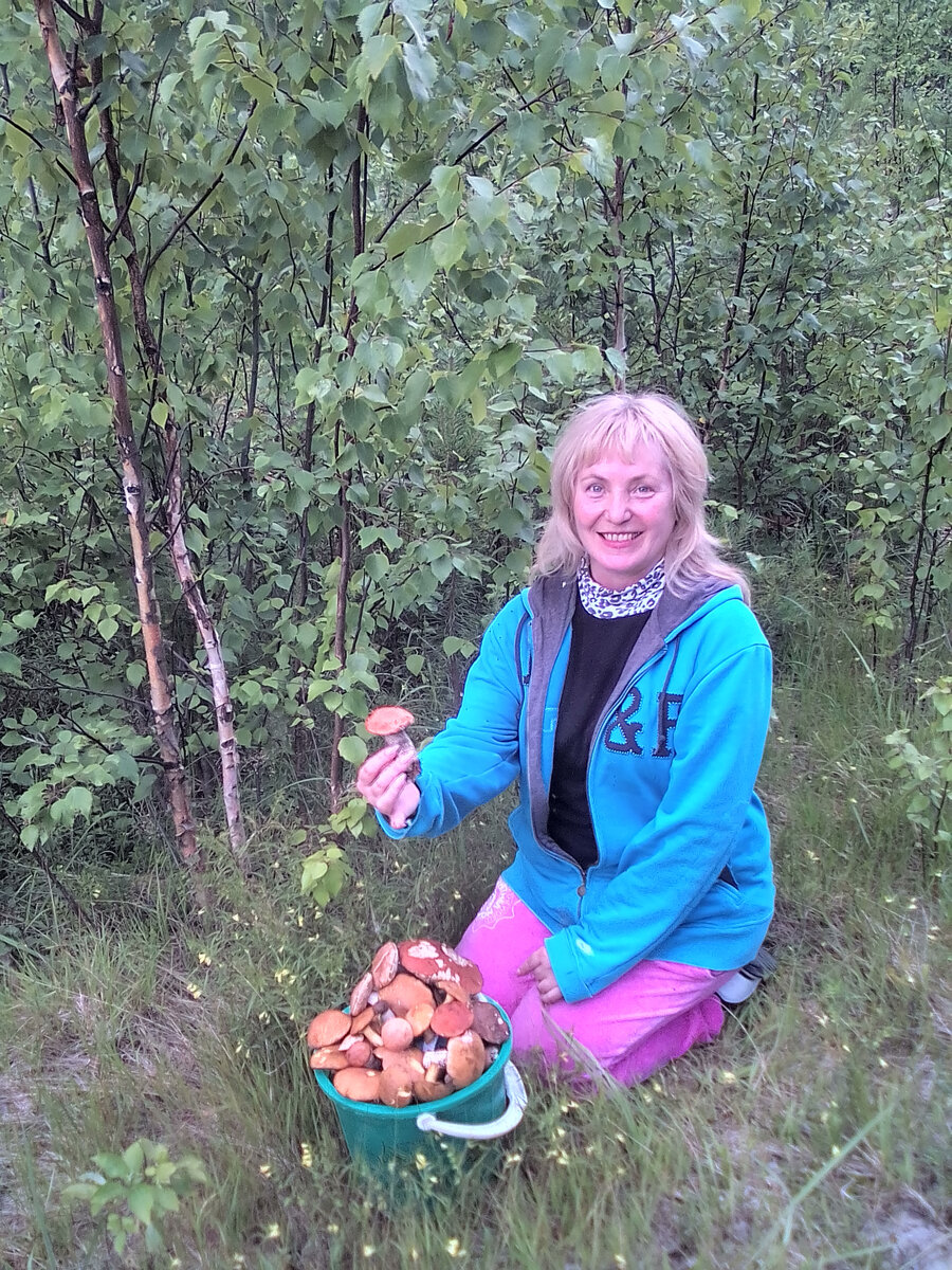полное ведерко с грибами