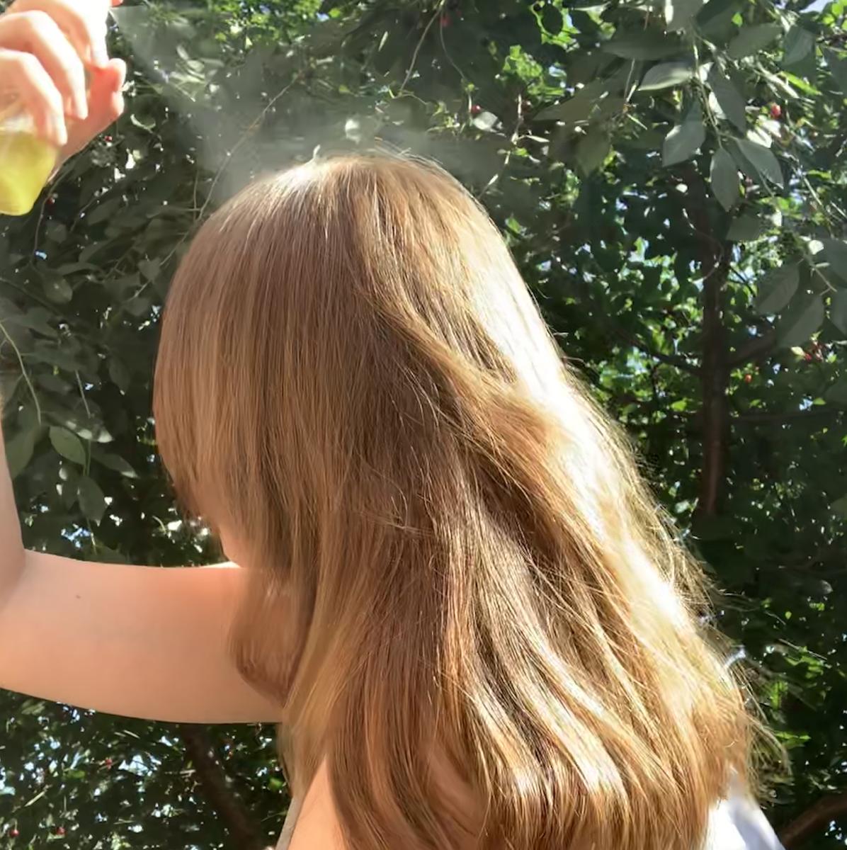 Фото из личной галереи (нет обработки).