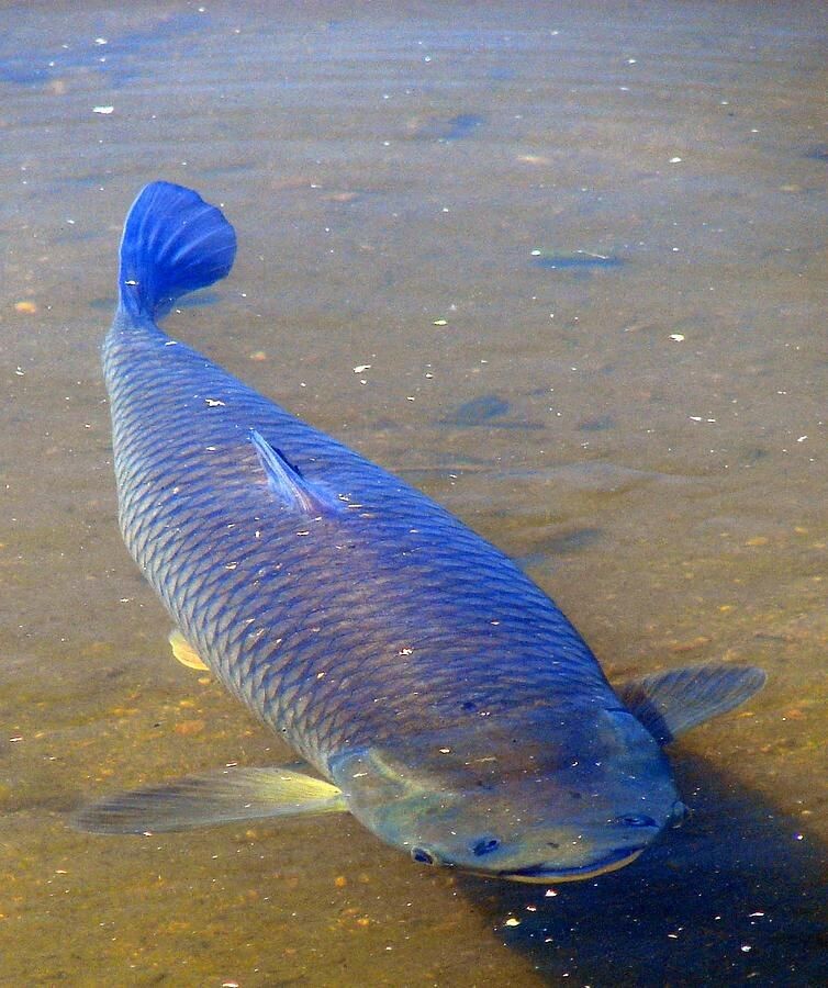 картинка взята из открытых источников