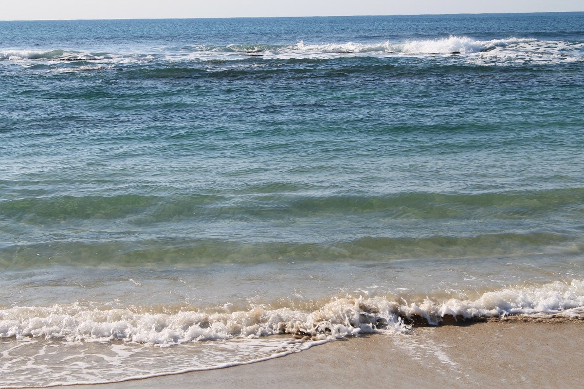 Фото  из личного архива