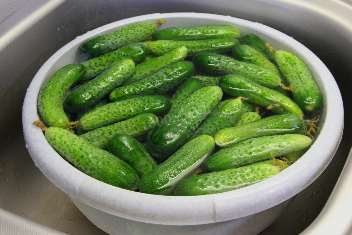 Источник фото: 1000.menu