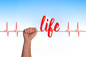 Heart Curve Live - Free photo on Pixabay