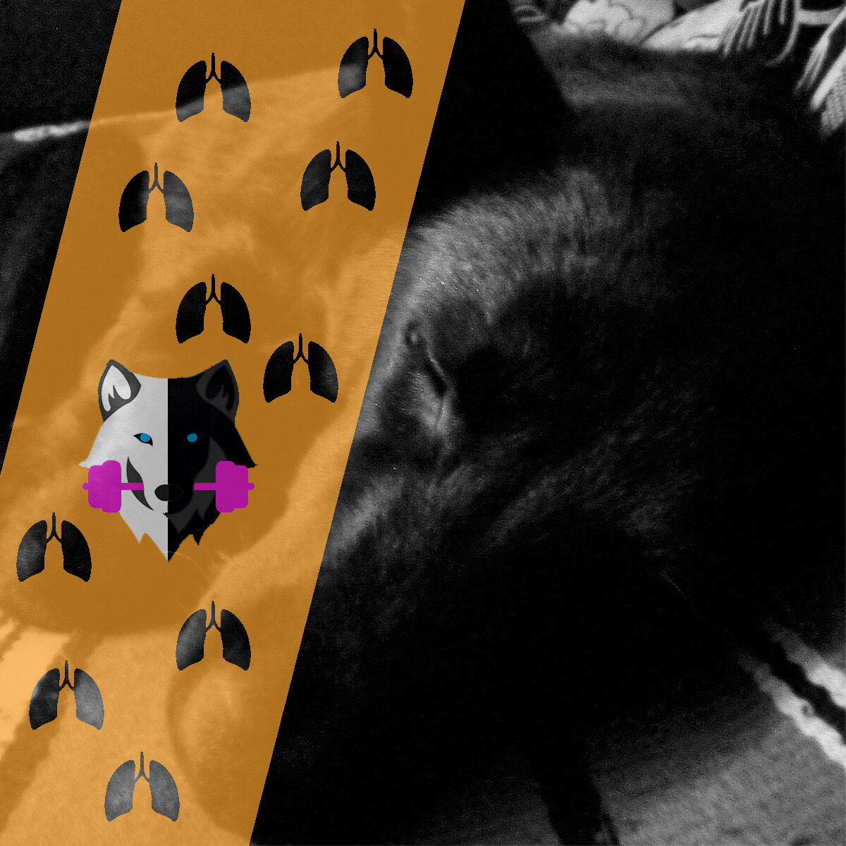 Подписывайтесь на канал для людей