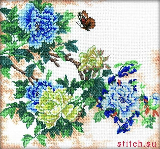 Фото из открытых источников