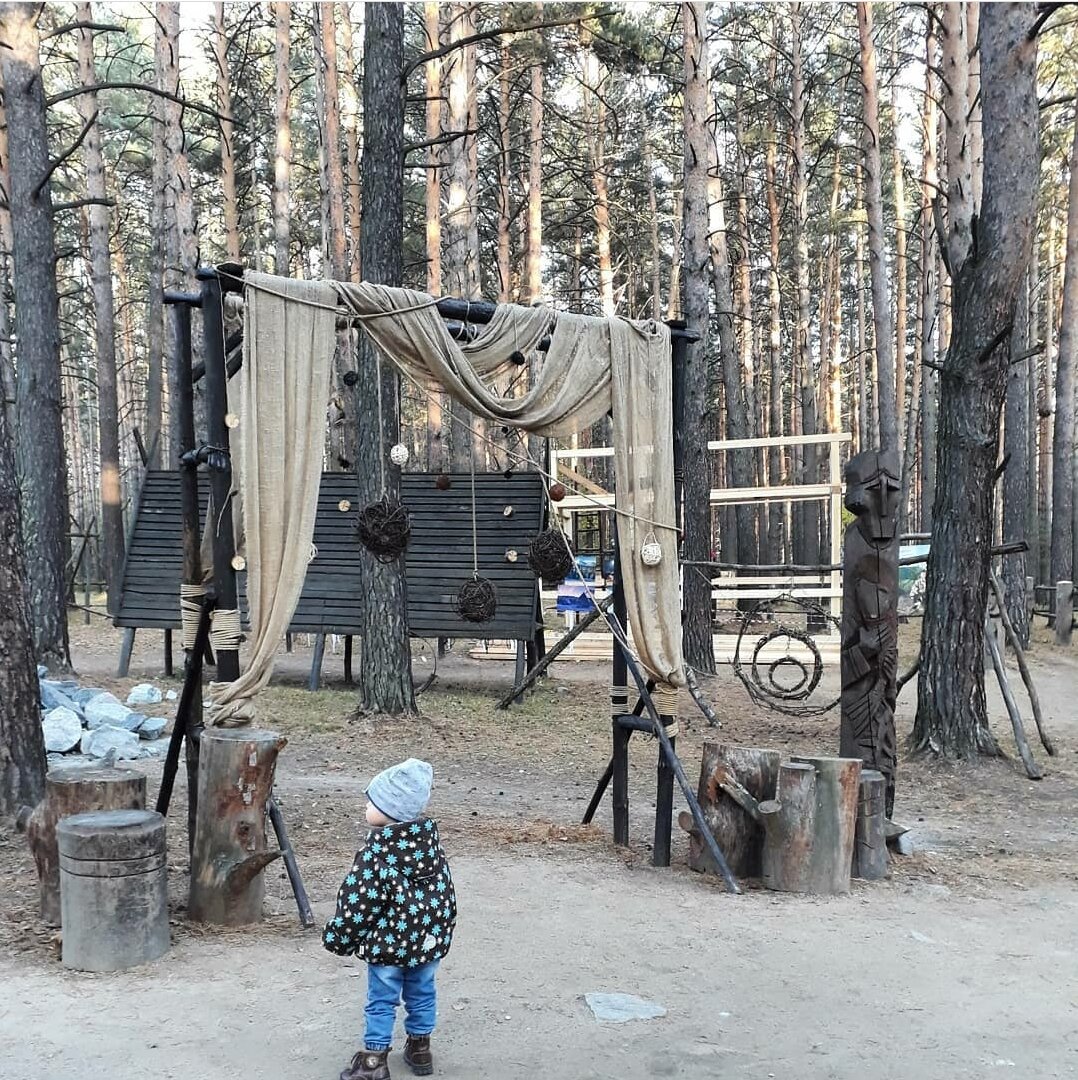 заельцовский парк новосибирск зимой