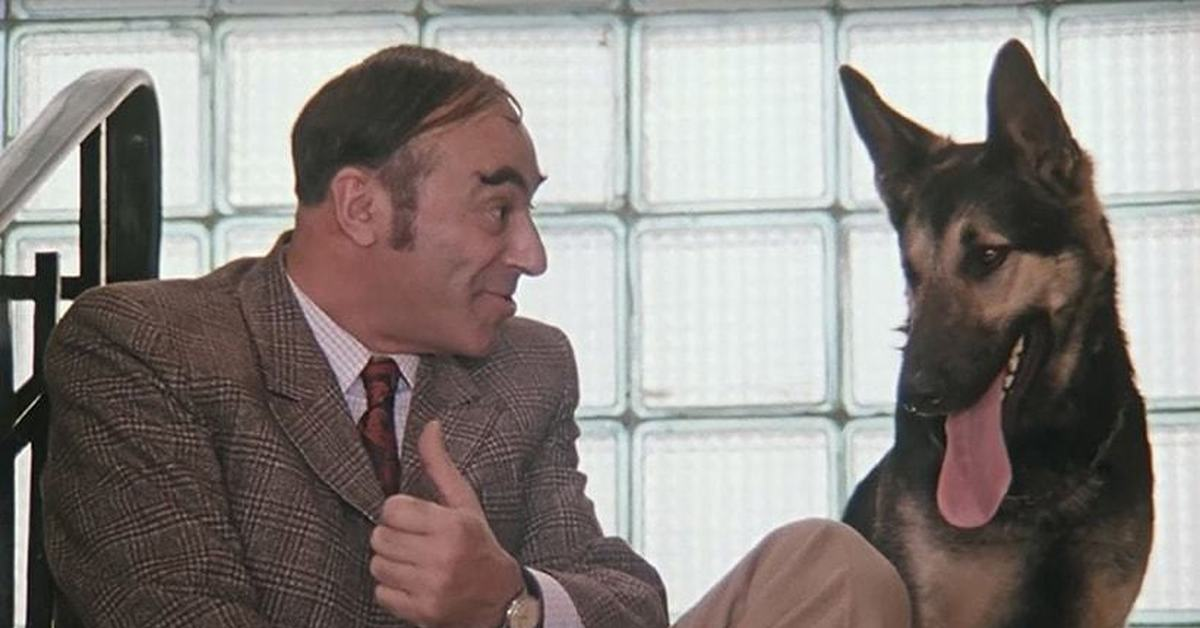 Все, что нажито непосильным трудом, все же погибло! Три магнитофона, три кинокамеры заграничных, три портсигара отечественных, куртка замшевая… три… куртки. Яндекс.Картинки.ру