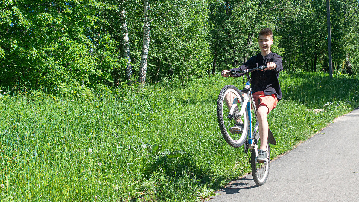 В лугах близ крепости БИП      