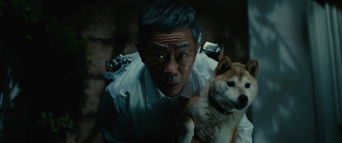 Источник фото - Яндекс.Картинки