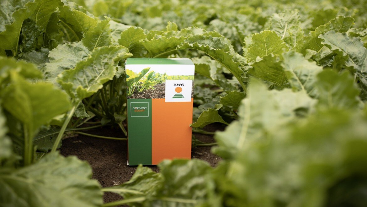 Новая технология выращивания сахарной свеклы КОНВИЗО® СМАРТ. Фото: kws.com
