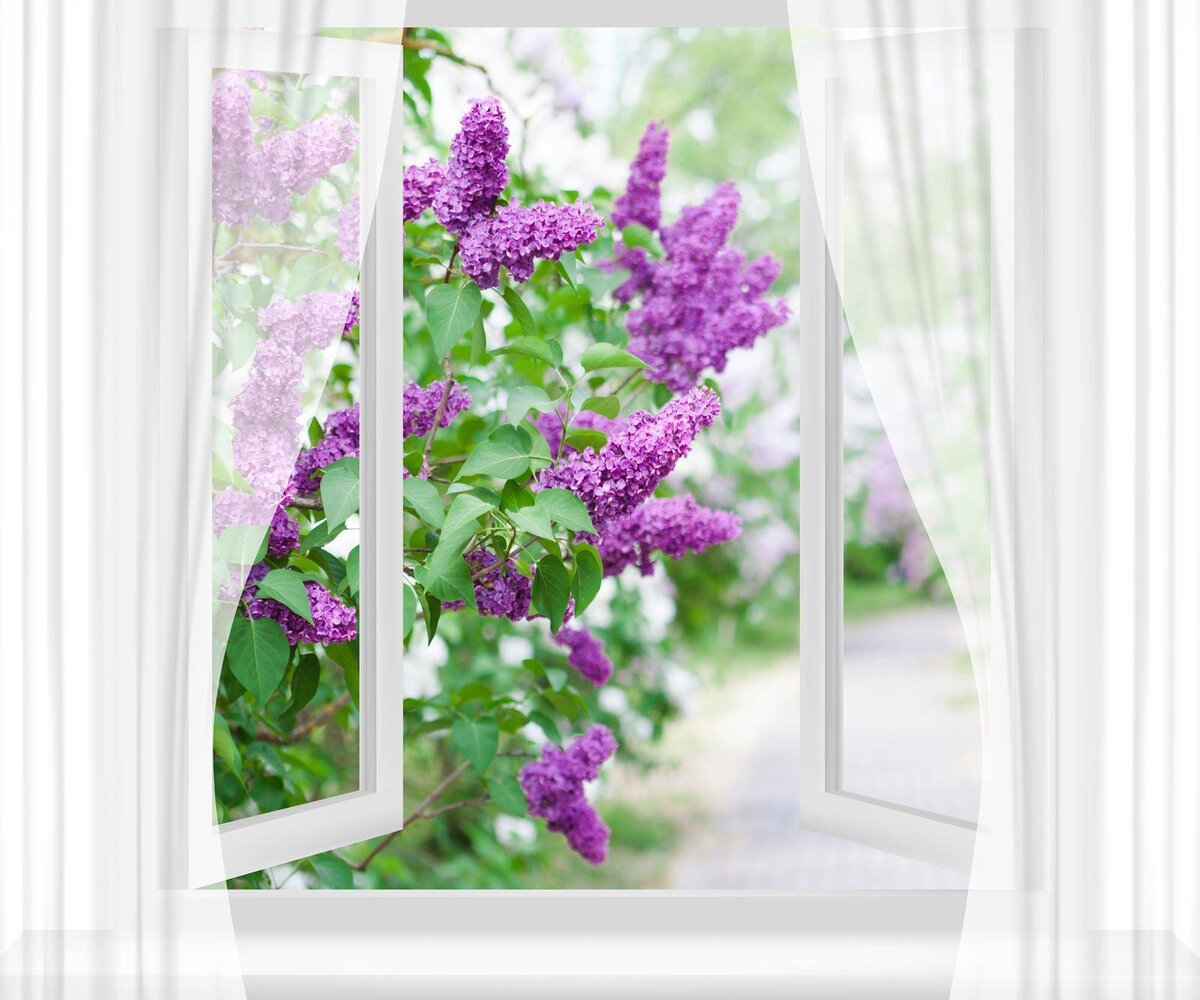 Источник Яндекс.Картинки