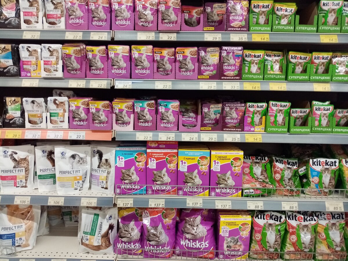 И купит по такой же цене, если не дешевле. Ведь крупный магазин может себе позволить ставить цену ниже, чем у конкурентов.