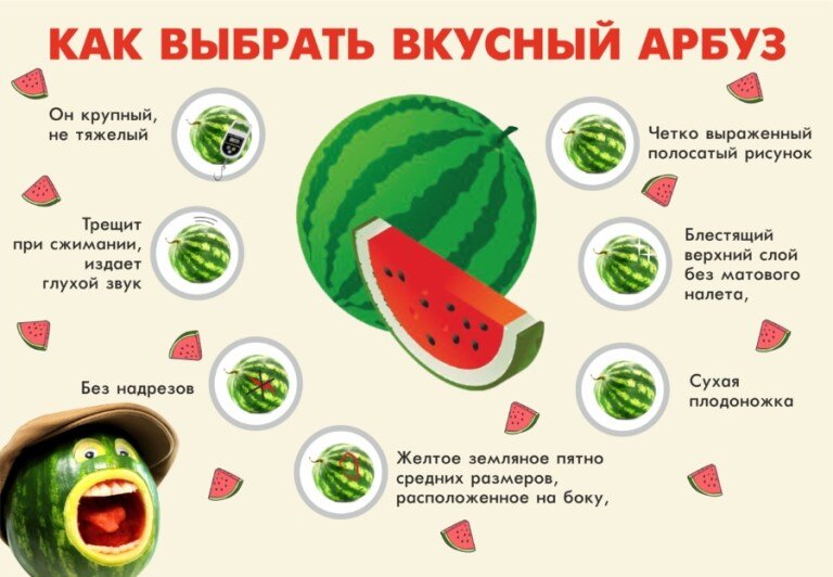 Как солить арбуз. 4 несложных способа | Продукты и напитки | Кухня | Аргументы и Факты