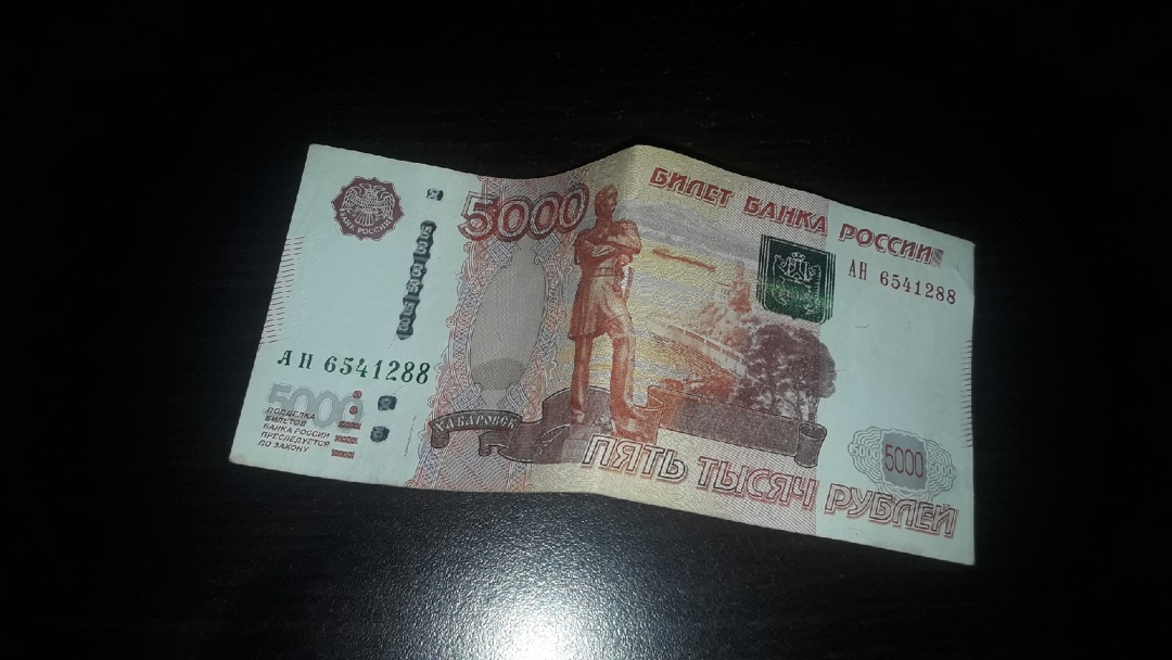 Плачу 5000 рублей