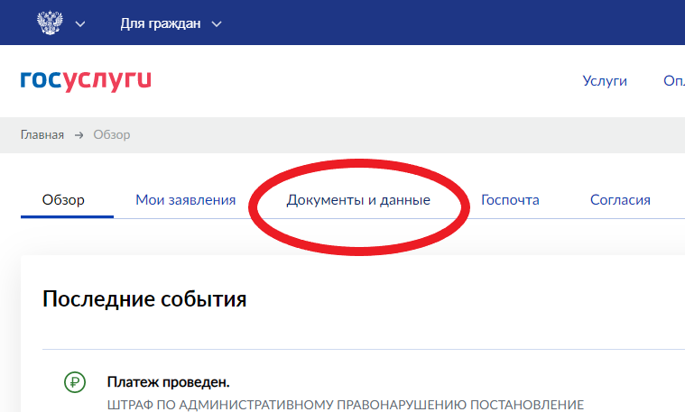 Снимок сайта "Госуслуги"