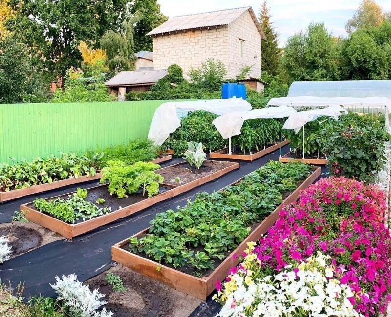 Источник фото: https://www.instagram.com/p/CDhBejgnPrC/