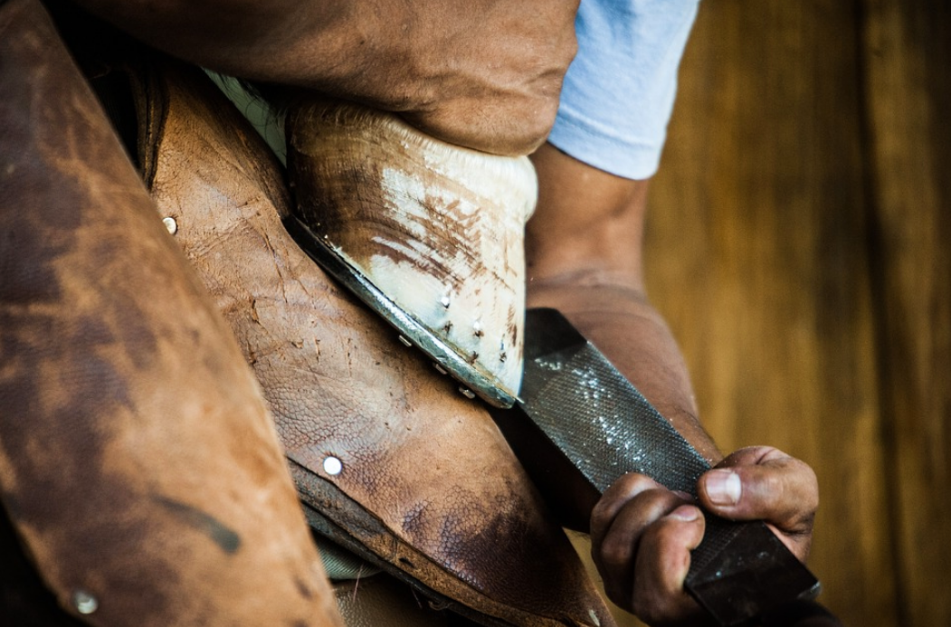 Копыто и подкова (Источник: https://pixabay.com/images/id-4136943/)