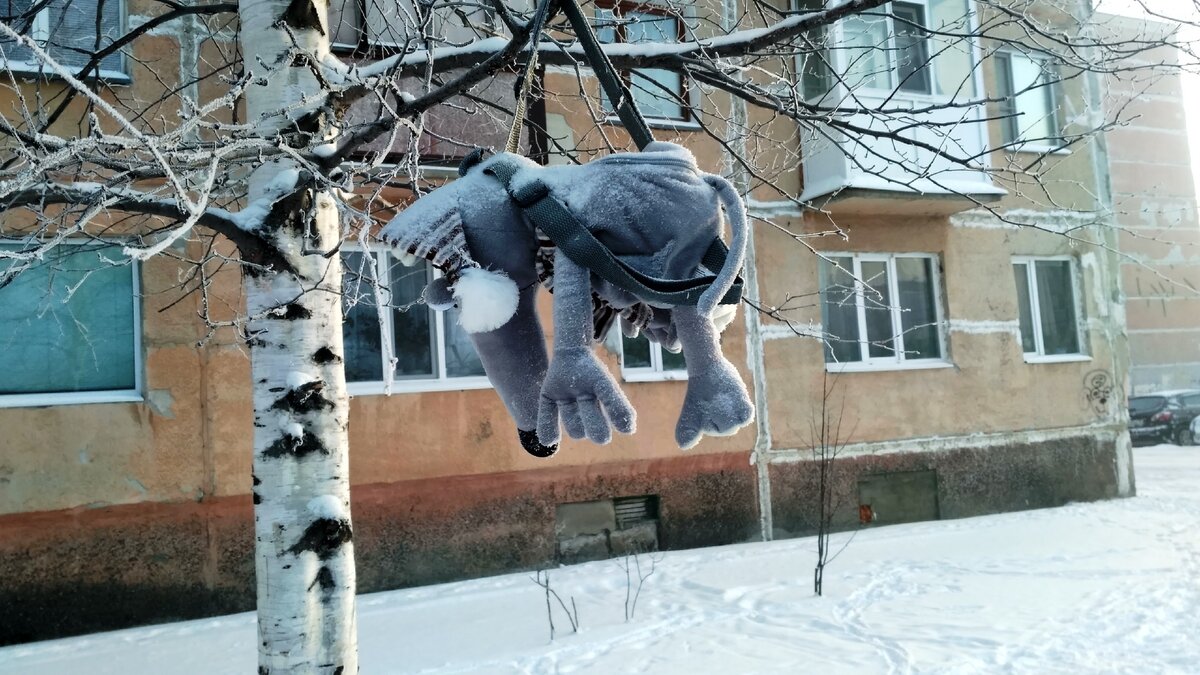 Мышку кто-то забыл