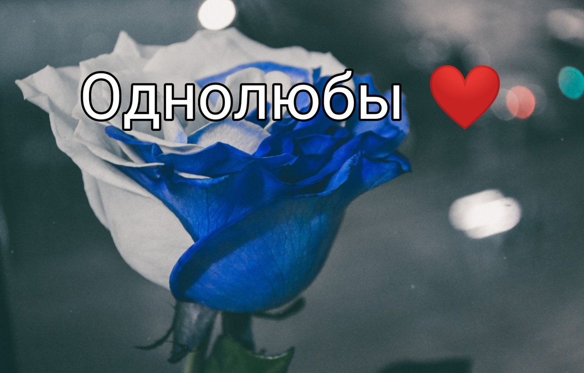 Картинка из свободных источников