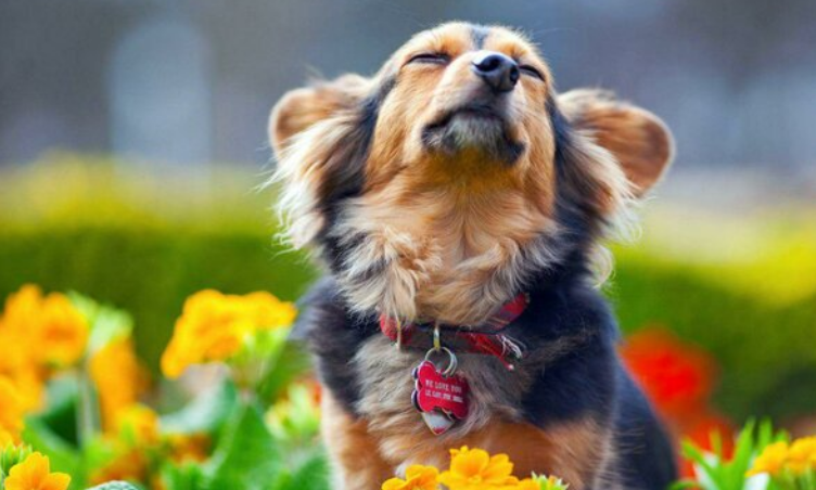 фото взято из общего доступа с интернета