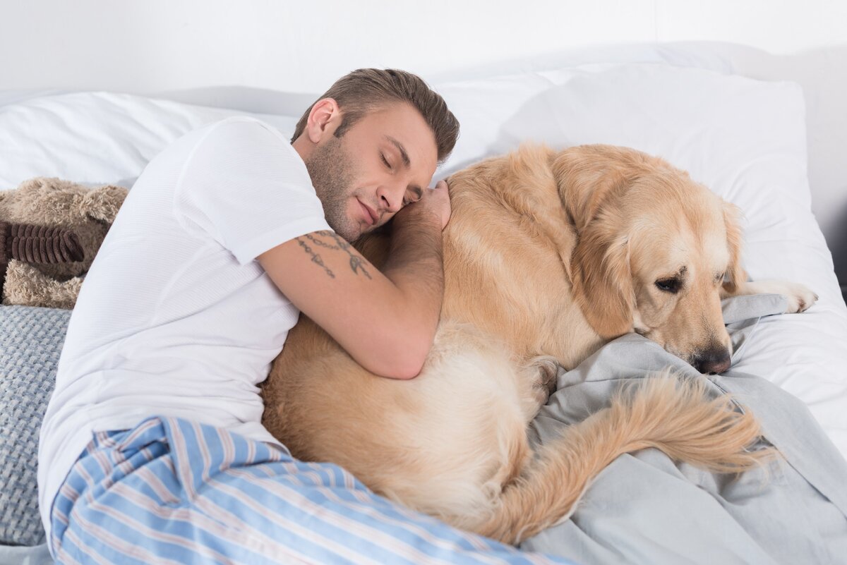 Мужчина с собакой во сне